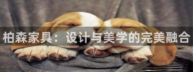 安信娱乐12登录地址