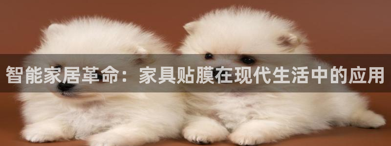 安信12娱乐登录