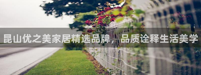 安信12网页版