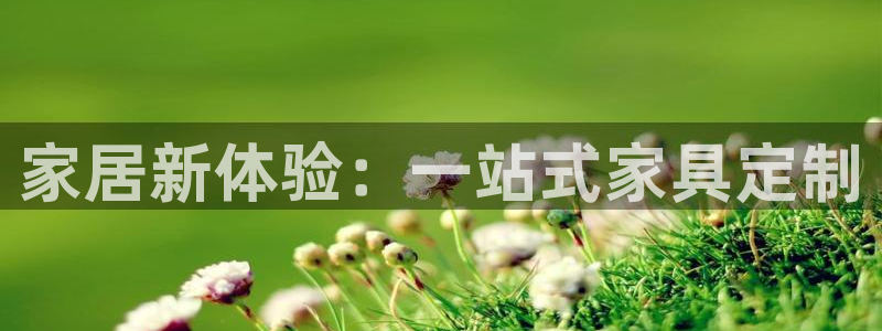 安信12周年庆典：家居新体验：一站式家具定制