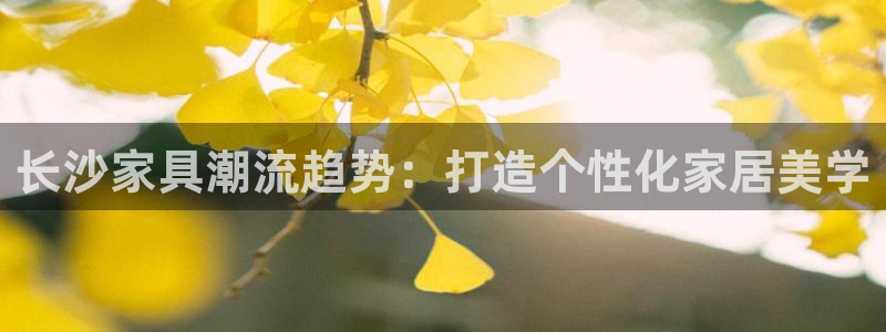 安信12注册代理