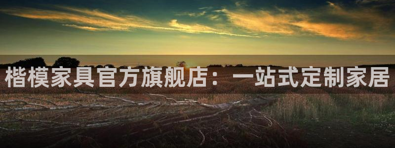 安信12娱乐7o777还