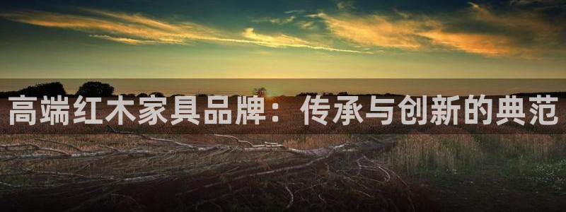 安信证券手机壳12