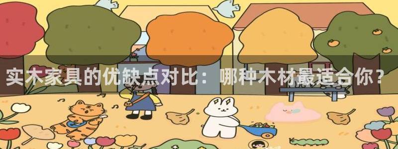 安信12是正规还是仿