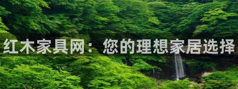 安信12怎么注册