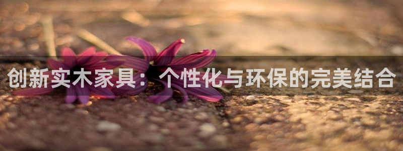 安信12是正规还是仿