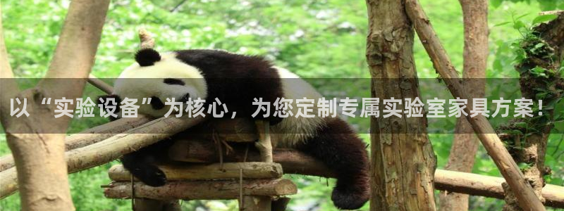 安信12是什么软件