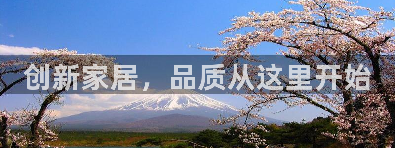 安信12怎么注册