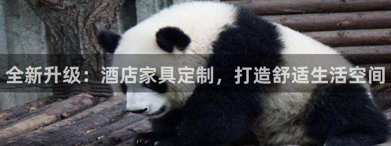 安信主管su金12手12指tq