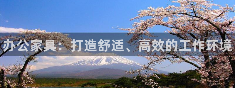 安信12周年庆典