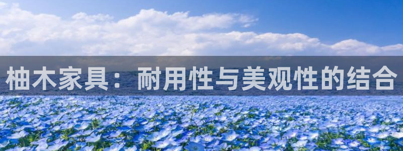 安信12平台的网址