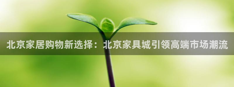 安信12平台怎么样