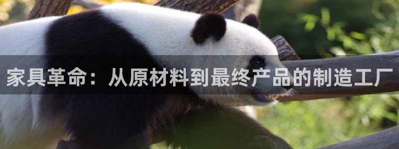 安信12平台介绍