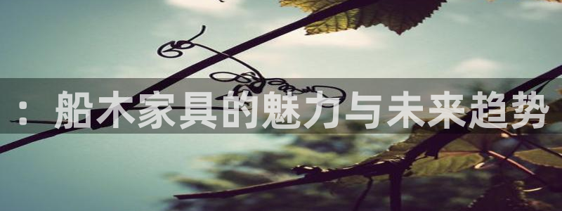 安信12注册代理