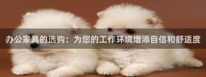 安信12娱乐登录网页