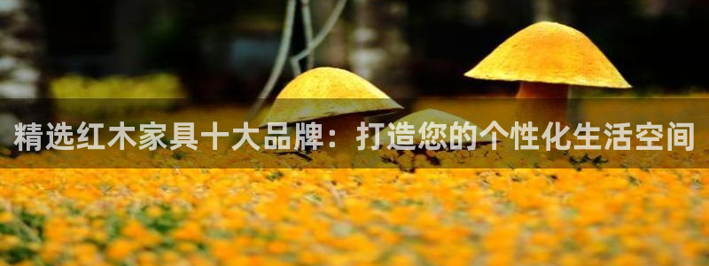 安信12是正轨网站吗