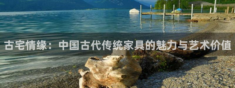 安信12专用挂机