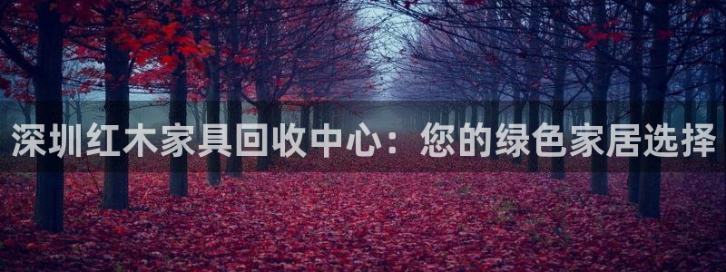 安信12如何开代理