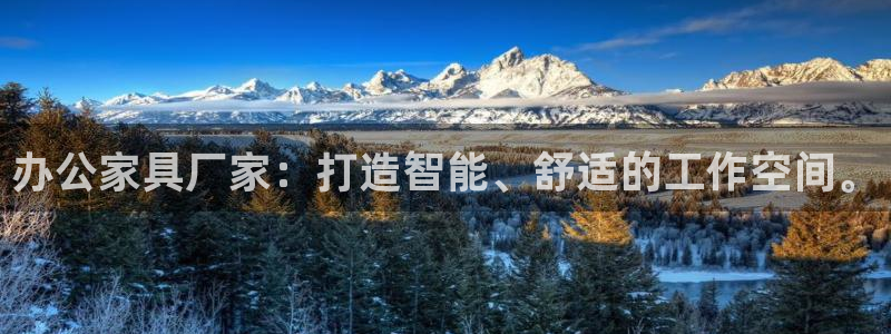 安信12彩票app下载