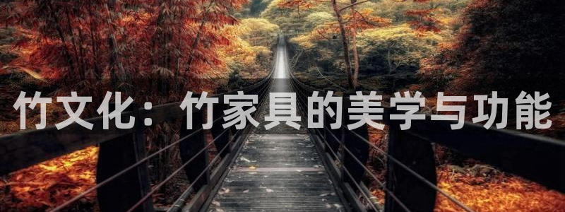 安信12登录网址