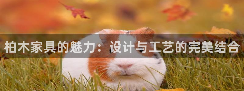 安信12注册代理