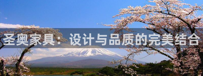 安信12是正轨网站吗