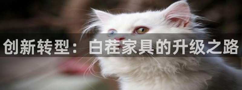 如何注销安信12软件