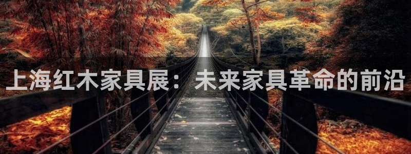 安信12是什么软件