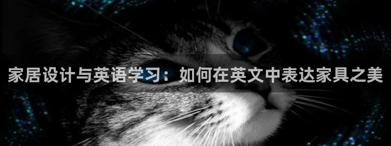 安信12是正规还是仿