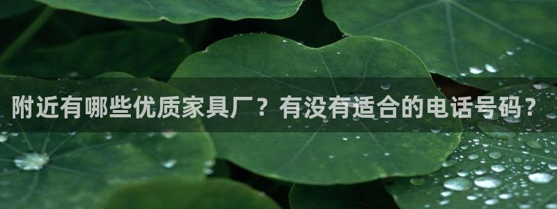 安信12娱乐代理