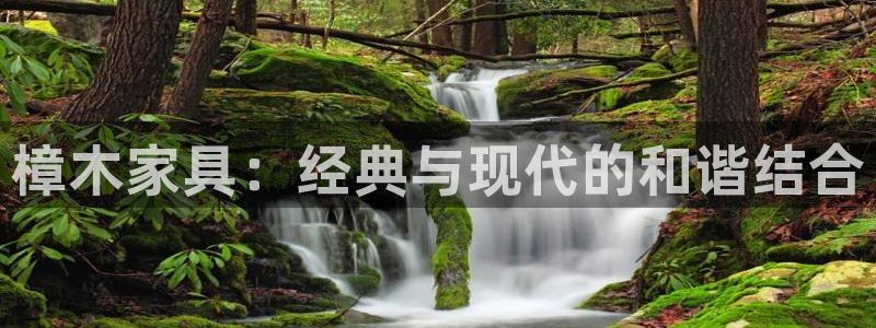 安信12是什么平台