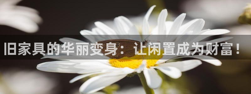 安信12真假
