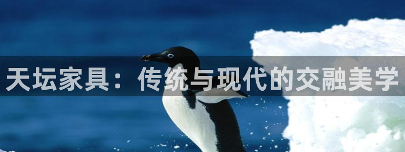 安信12平台官网