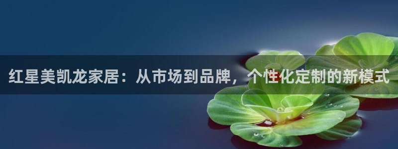 安信可12f12e