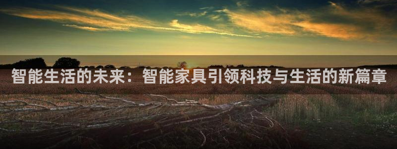 安信12负责人