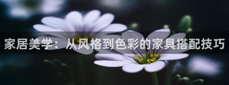 安信12注册