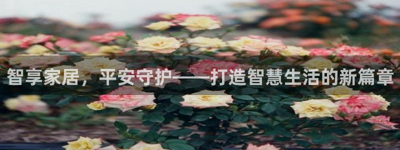 安信娱乐12登录地址