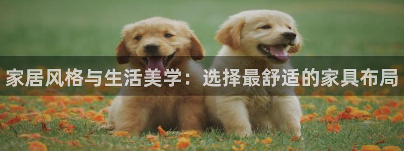 安信12级灯牌