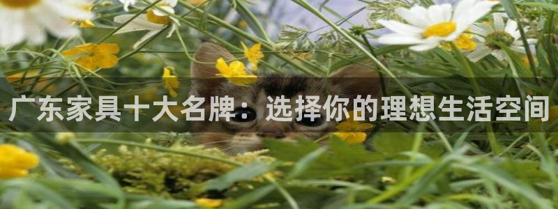 安信12登录网址