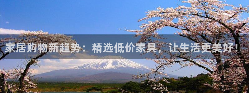 安信安赢12号